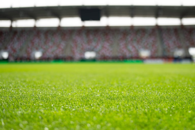 Grass at the football stadium during sunny spring day