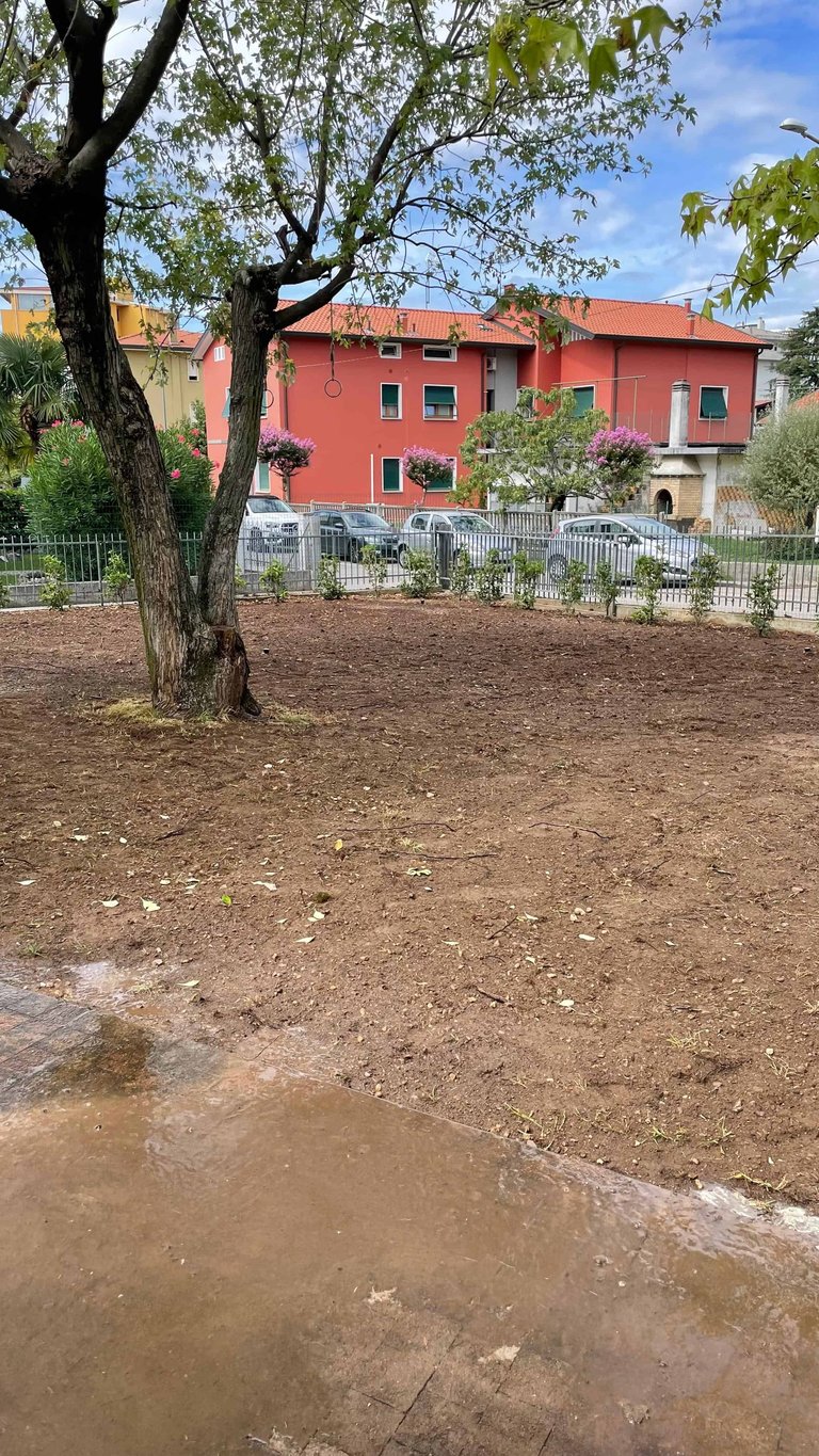 Muddy playground with large tree in foreground and red Mediterranean-style villa with white fence in background
