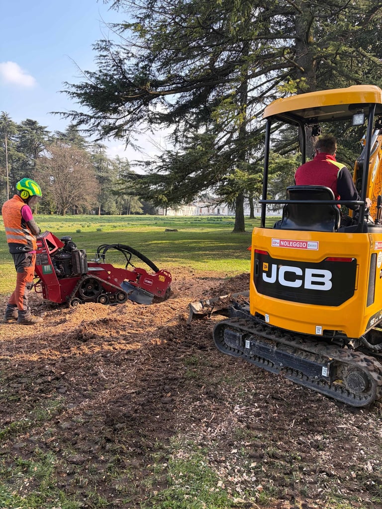Worker in red and yellow safety gear operating a red stump grinder near a yellow JCB mini excavator in a park setting