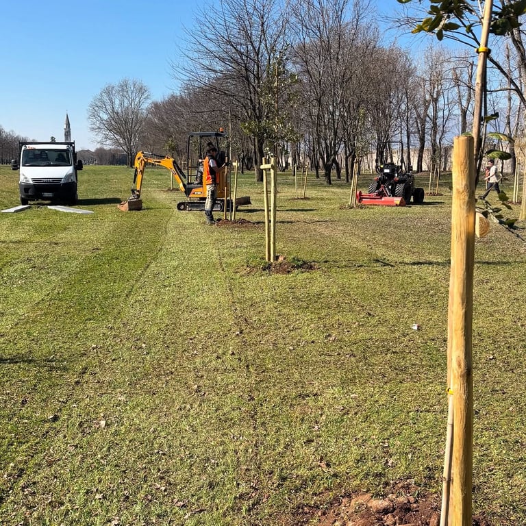 Tree planting crew working in a park, installing newly planted trees with support stakes in grassy field with machinery nearby