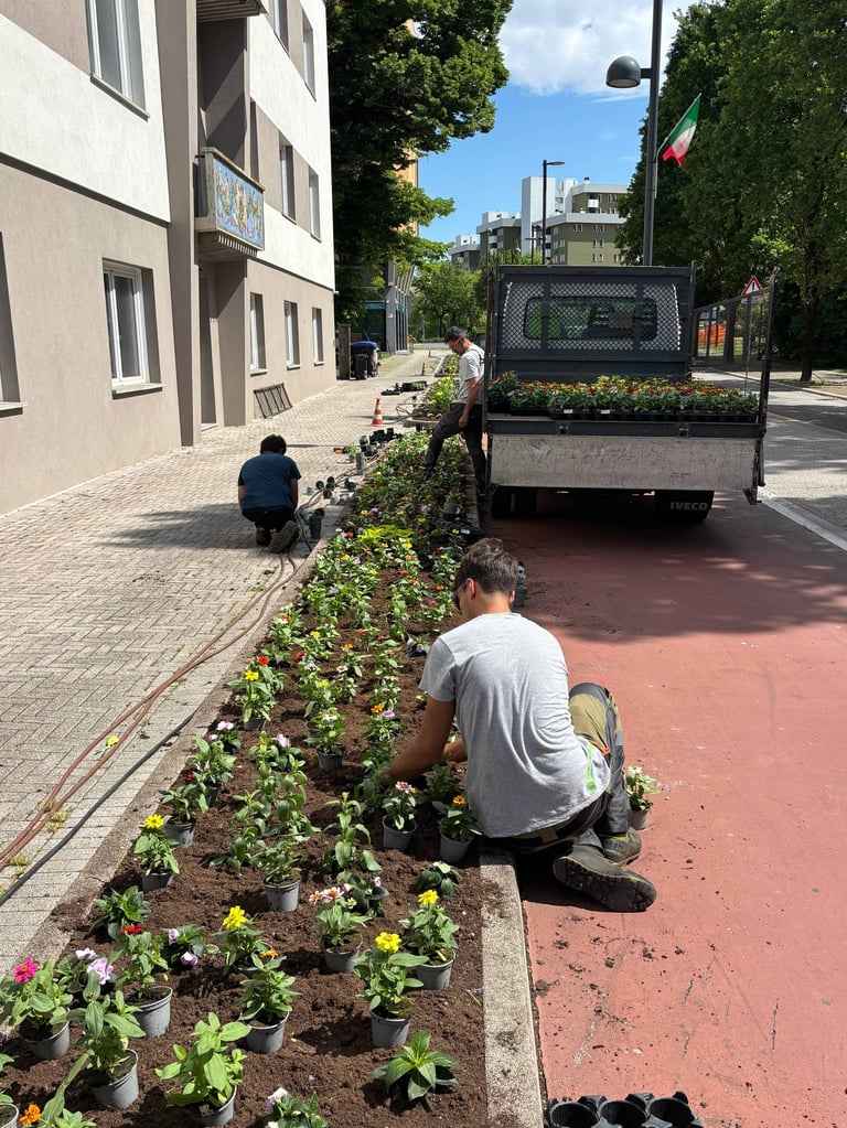 Two people planting flowers along a street curb with a truck and buildings in the background